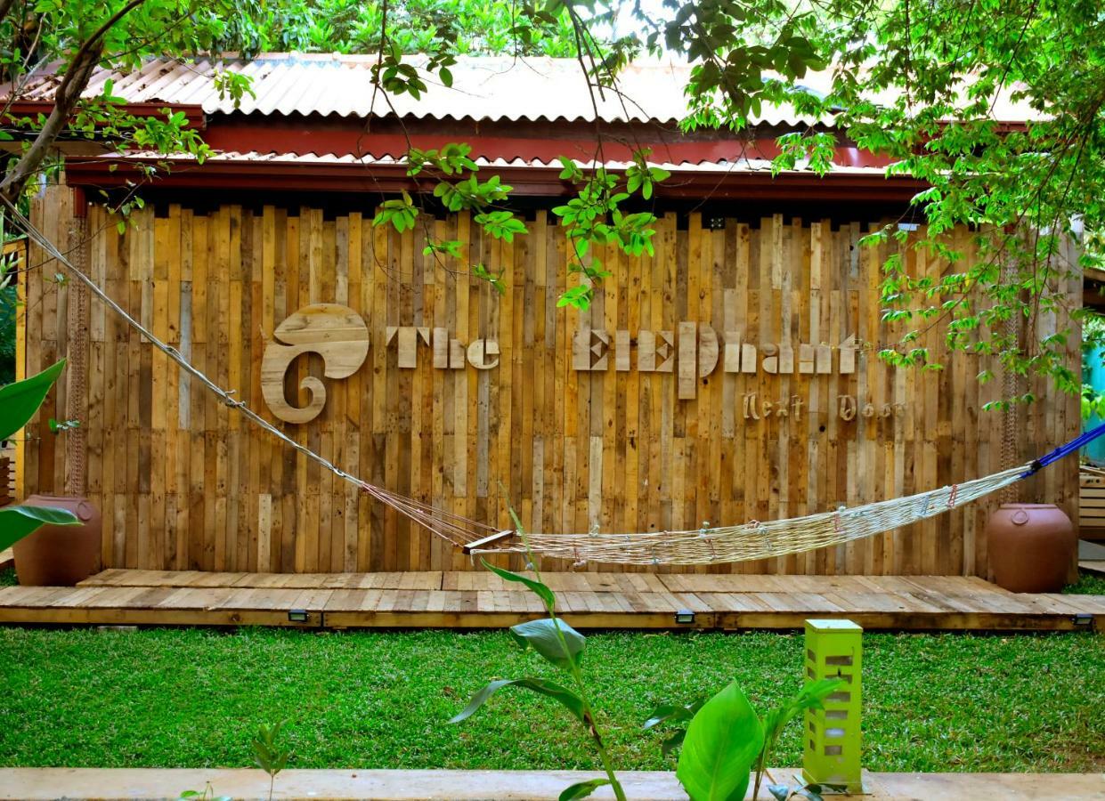 The Elephant Next-Door Udawalawe Exteriér fotografie